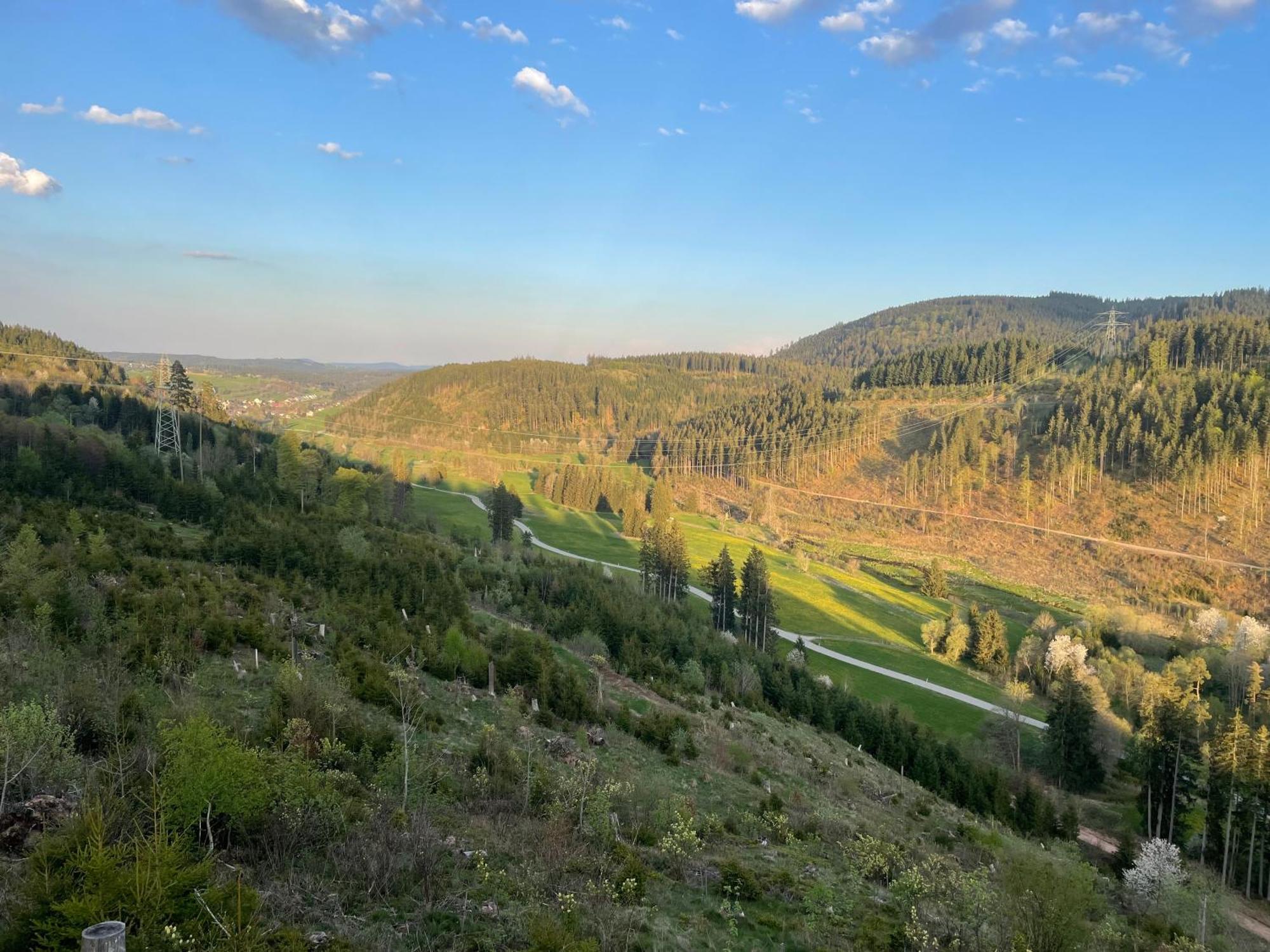 Ferienwohnung Am Hirtenpfad Lenzkirch Exteriér fotografie